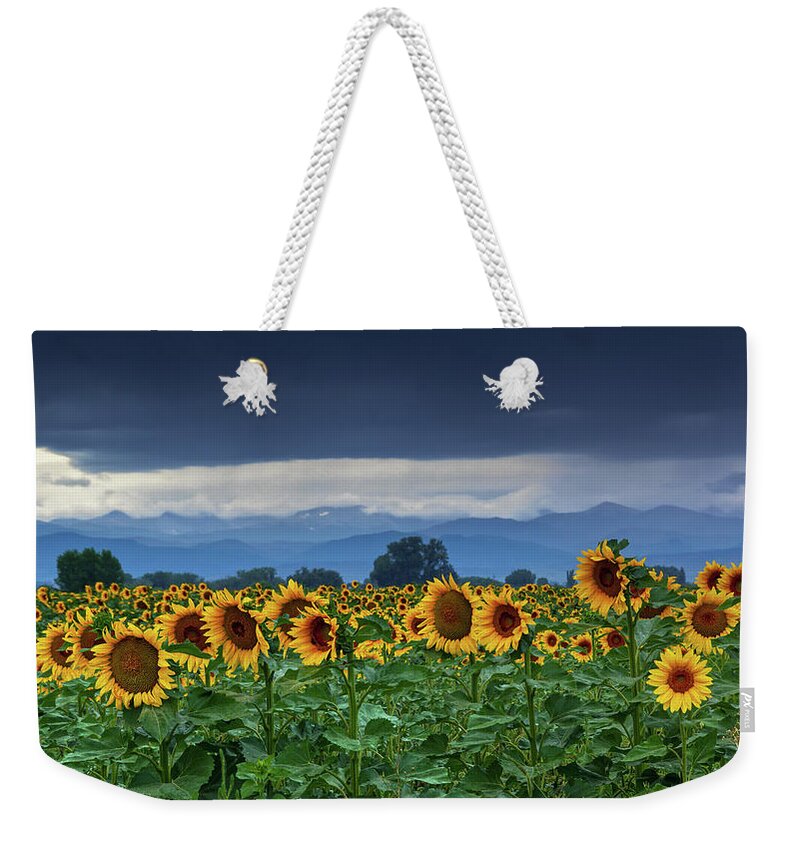 Colorado Weekender Tote Bag featuring the photograph Sunflowers Under A Stormy Sky #1 by John De Bord