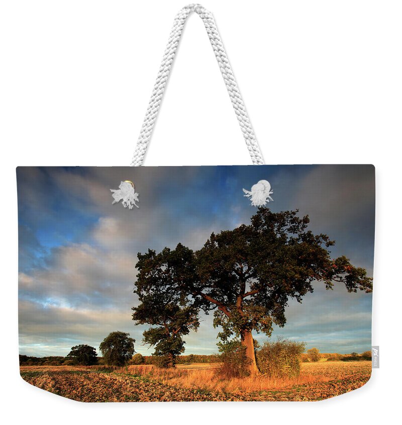 Tranquility Weekender Tote Bag featuring the photograph Sunrise Over Oak Tree, Autumn Colours #1 by Dave Porter Peterborough Uk