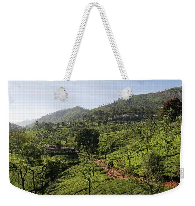 Tranquility Weekender Tote Bag featuring the photograph Tea Plantation #1 by John Elk Iii