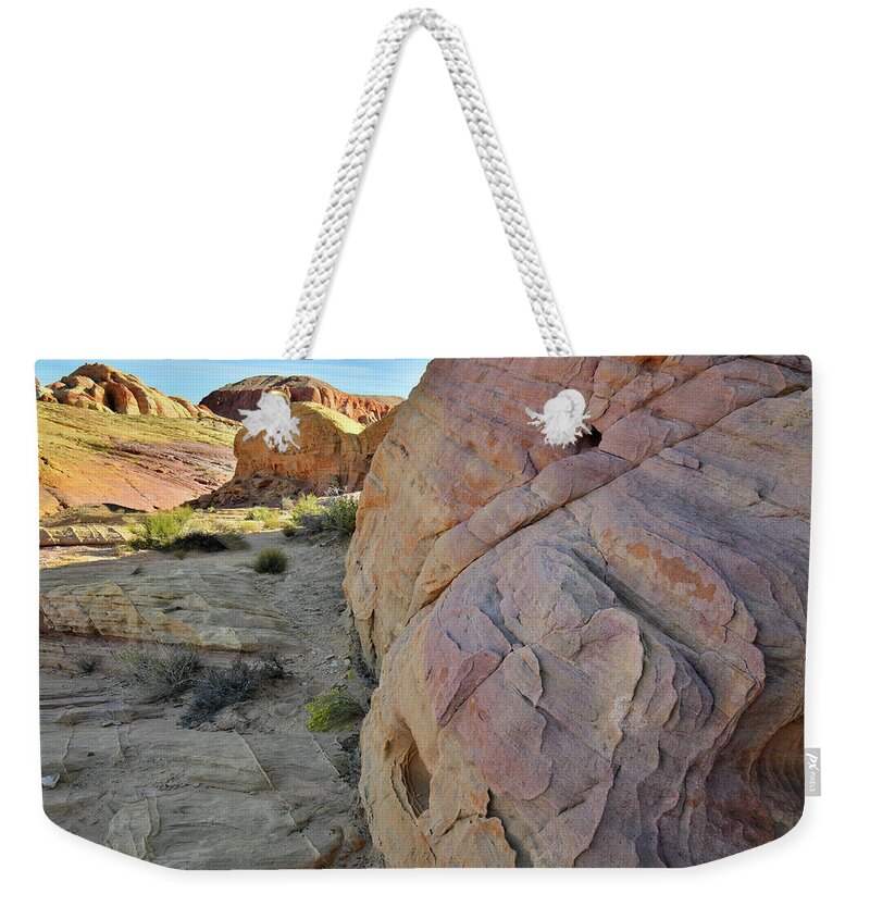 Valley Of Fire State Park Weekender Tote Bag featuring the photograph The Many Colors of Valley of Fire State Park #1 by Ray Mathis