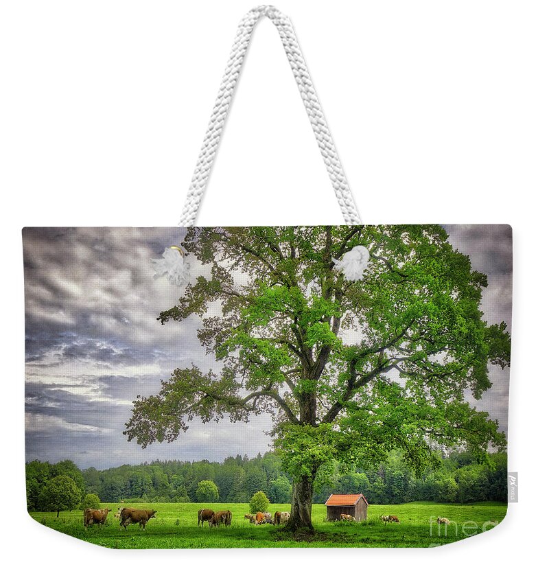 Nag005482 Weekender Tote Bag featuring the photograph The Old Oak #1 by Edmund Nagele FRPS