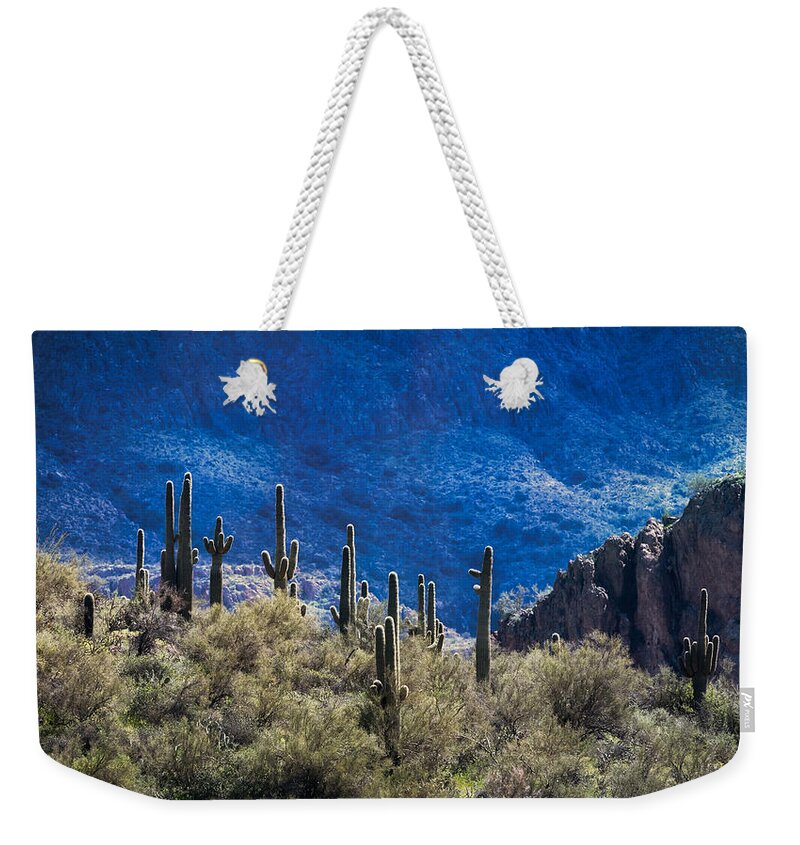 Saguaro Cactus Weekender Tote Bag featuring the photograph The Sonoran Sentinels #1 by Saija Lehtonen