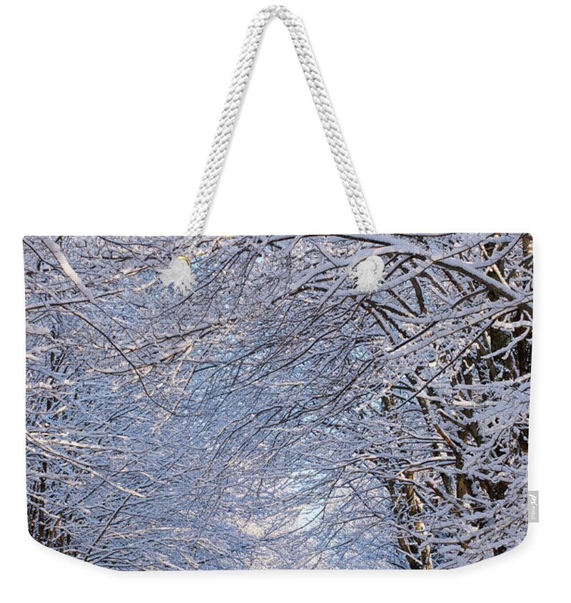 Scenics Weekender Tote Bag featuring the photograph Tree Lined Road In Winter #1 by David Chapman / Design Pics