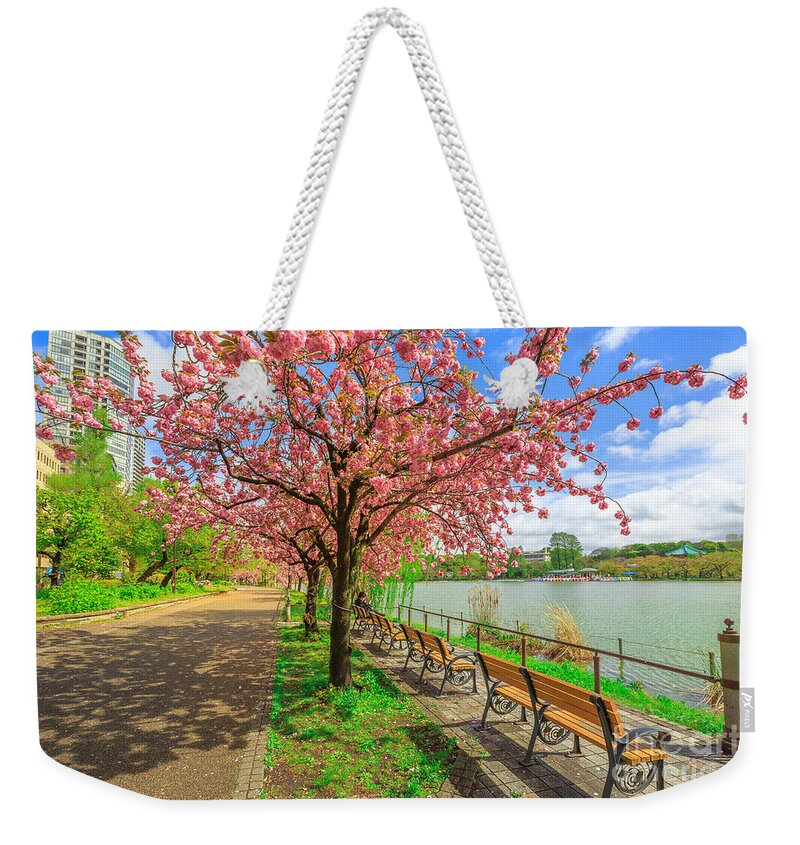 Ueno Park Weekender Tote Bag featuring the photograph Ueno Park cherry blossom #1 by Benny Marty