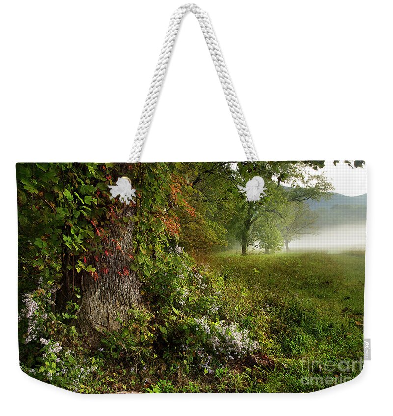 Fall Weekender Tote Bag featuring the photograph Upcoming Season #1 by Mike Eingle