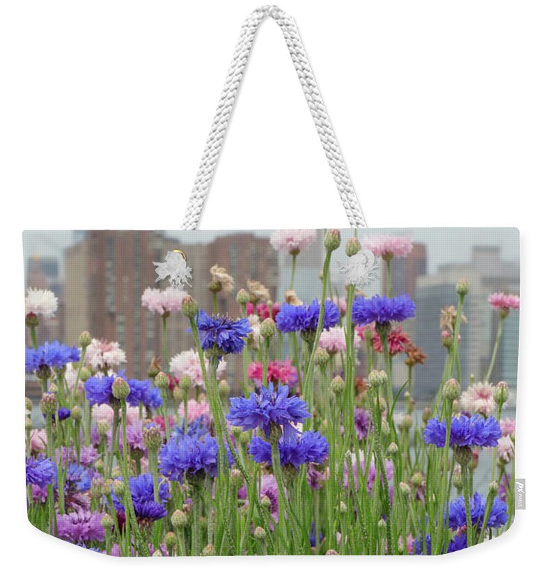 Greenpoint Weekender Tote Bag featuring the photograph Urban Wild Flowers by Cate Franklyn