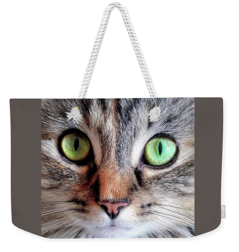 Tatum Weekender Tote Bag featuring the photograph Where'd Ya Get Those Peepers by Lori Lafargue