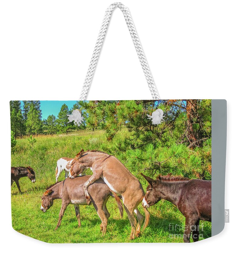 Donkeys Mating Weekender Tote Bag featuring the photograph Wild Donkeys mating #1 by Benny Marty