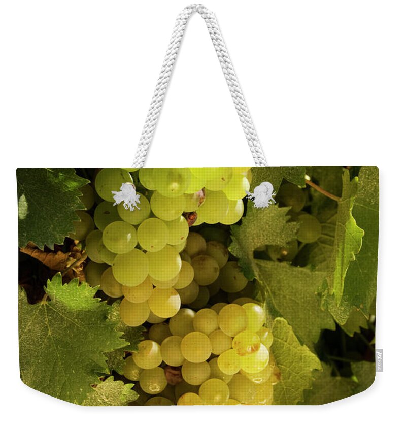 Bunch Weekender Tote Bag featuring the photograph Wine Grapes #1 by Willselarep