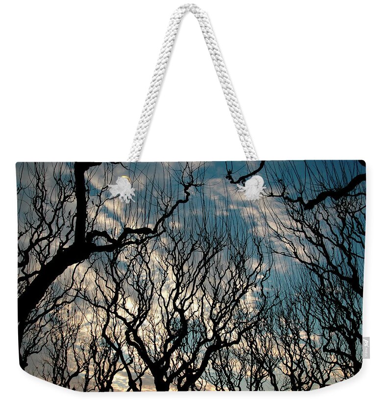  Weekender Tote Bag featuring the photograph Winter Bare #2 by Rein Nomm