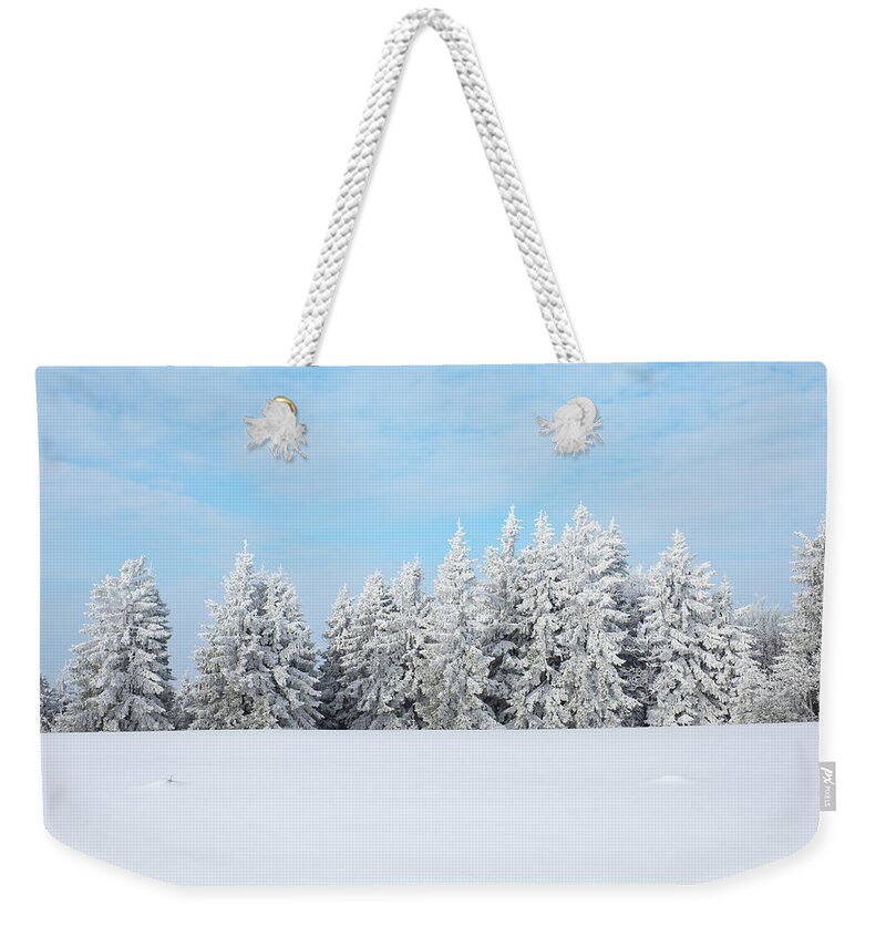 Scenics Weekender Tote Bag featuring the photograph Winter Forest #1 by Borchee