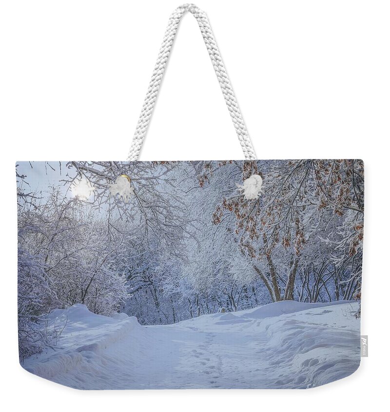 Winter Weekender Tote Bag featuring the photograph Winter Wonderland by Susan Rydberg