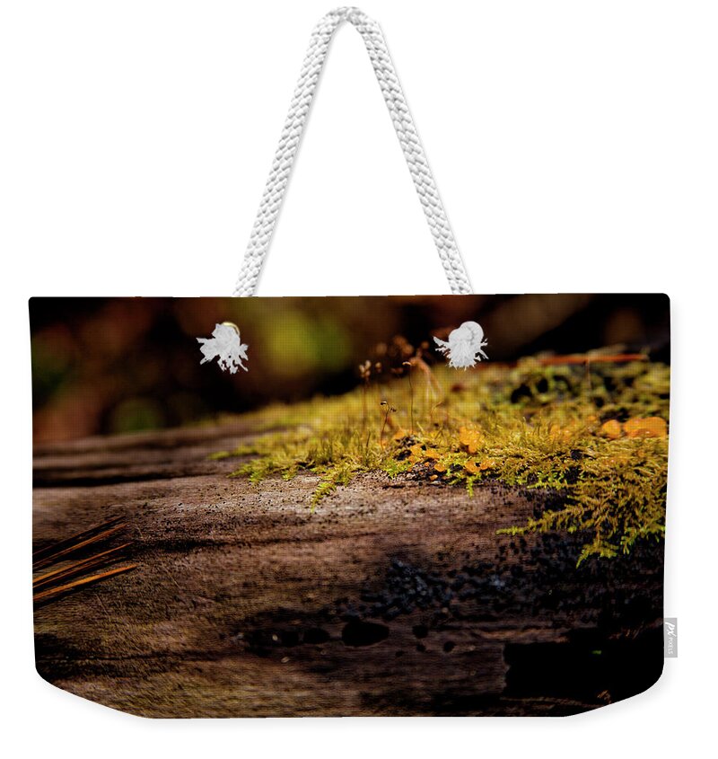 Fall Colors Weekender Tote Bag featuring the photograph Yellow Flowers On Tree Trunk #1 by David Chasey