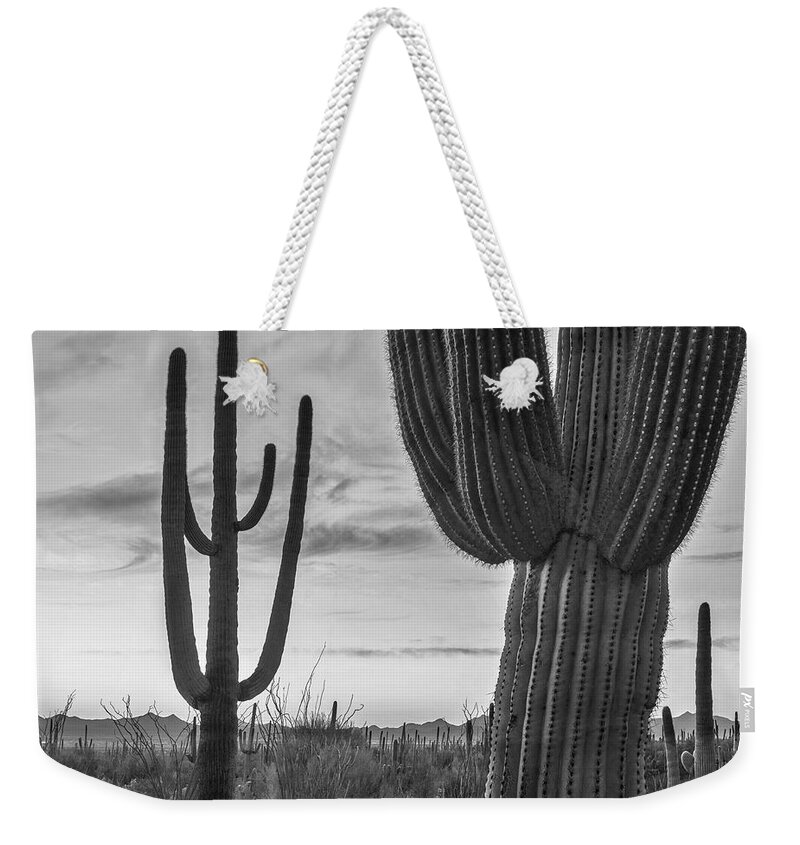 Disk1216 Weekender Tote Bag featuring the photograph Saguaro Cacti, Arizona #10 by Tim Fitzharris