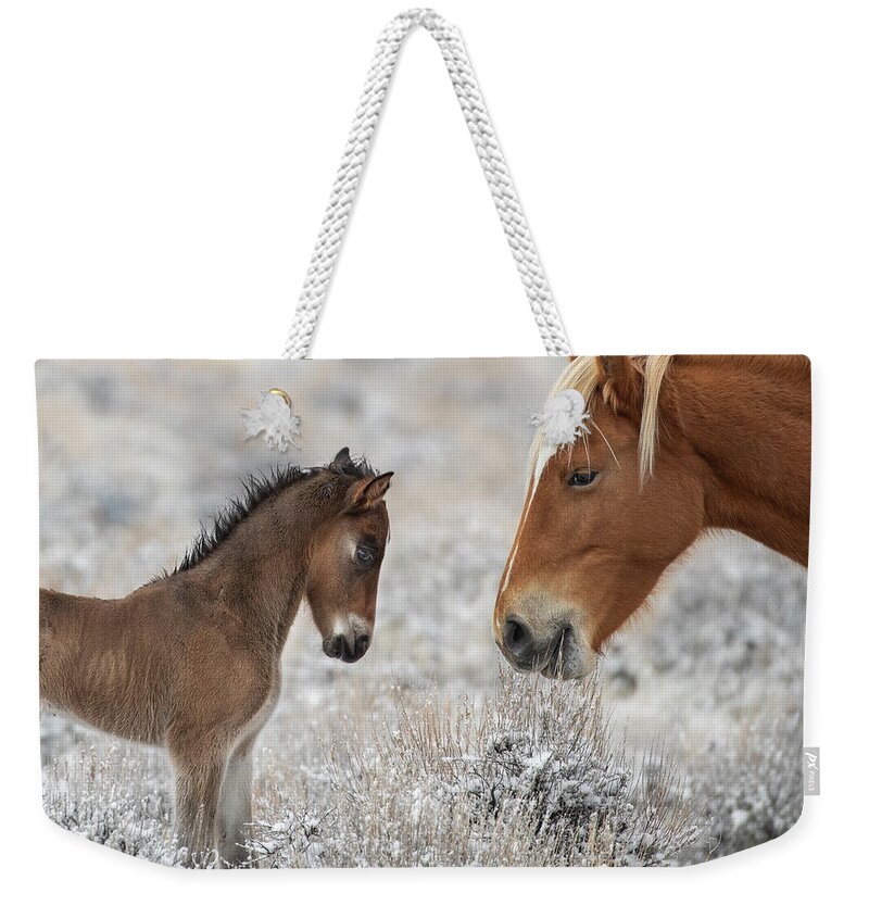  Weekender Tote Bag featuring the photograph 1dx20783 by John T Humphrey