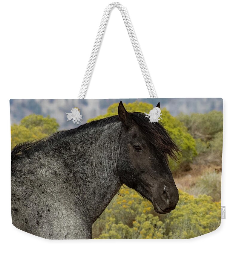  Weekender Tote Bag featuring the photograph 1dx21714 by John T Humphrey