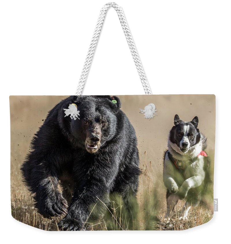  Weekender Tote Bag featuring the photograph 1dx23373 by John T Humphrey