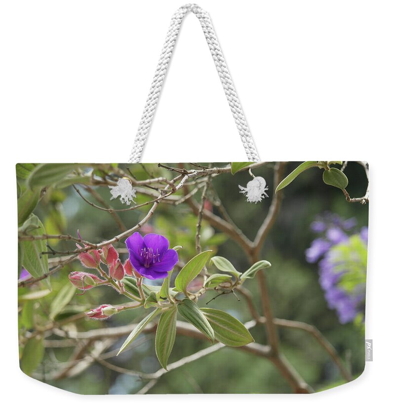 Beautiful Flowers Weekender Tote Bag featuring the photograph Beautiful Flowers #2 by Atul Kolte