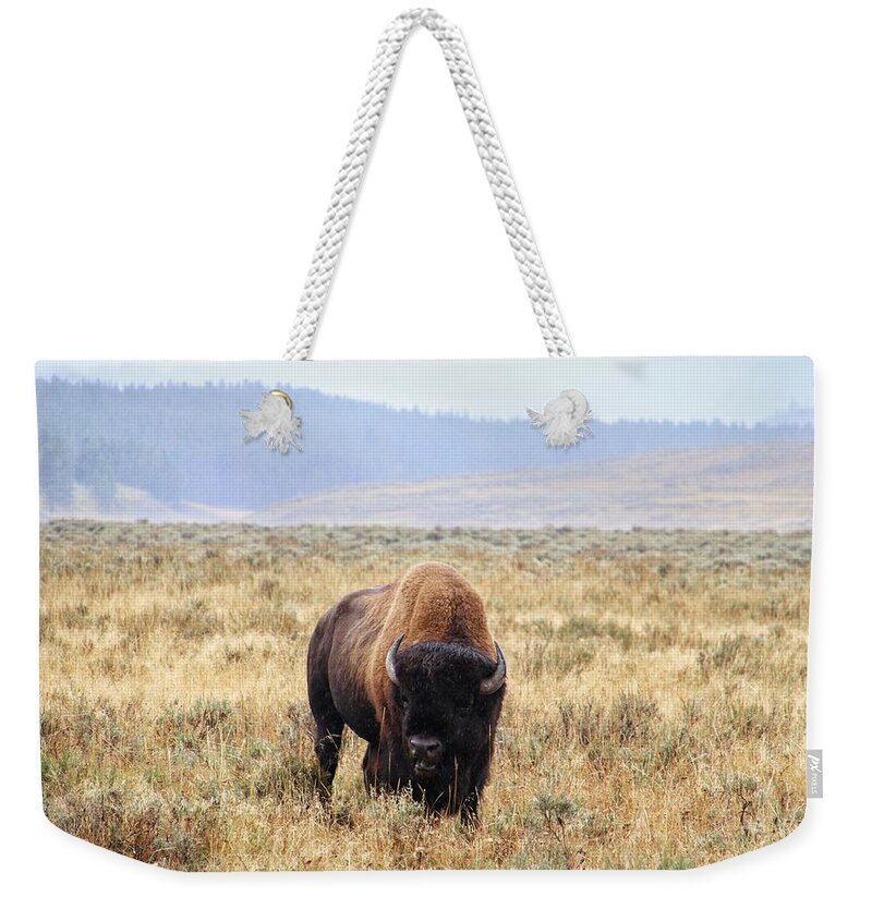 Buffalo At Yellowstone Weekender Tote Bag featuring the photograph Buffalo at Yellowstone National Park #2 by Susan Jensen