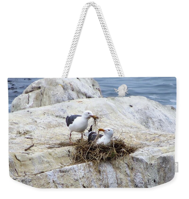 Seagulls Weekender Tote Bag featuring the photograph 2 - Building A Nest Together by Linda Vanoudenhaegen