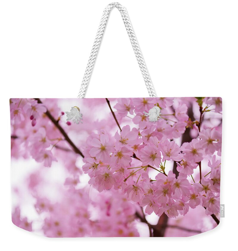 Grenoble Weekender Tote Bag featuring the photograph Cherry Blossom #2 by Mmac72