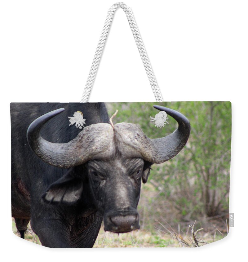  Weekender Tote Bag featuring the photograph 2 by Eric Pengelly
