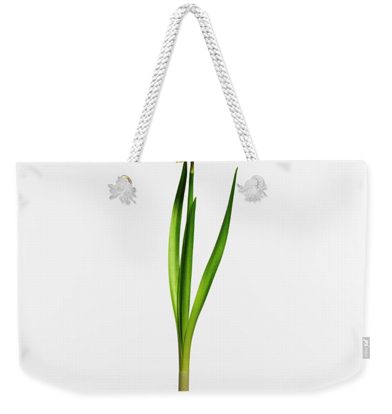 White Background Weekender Tote Bag featuring the photograph Form #2 by Kei Uesugi