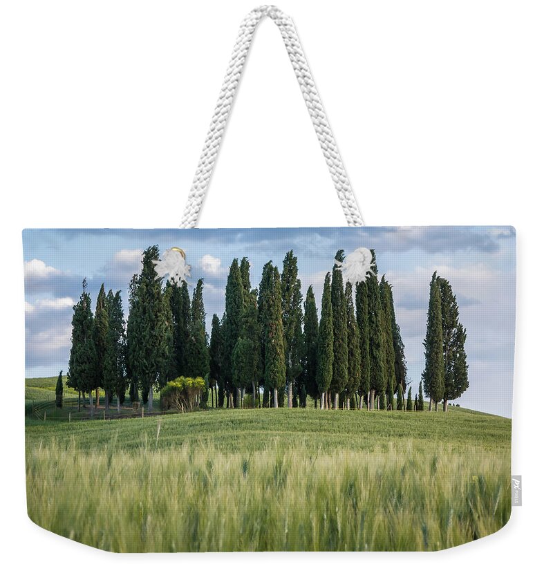 Agriculture Weekender Tote Bag featuring the photograph Group of cypress trees at dusk In Tuscan landscape #2 by Tosca Weijers