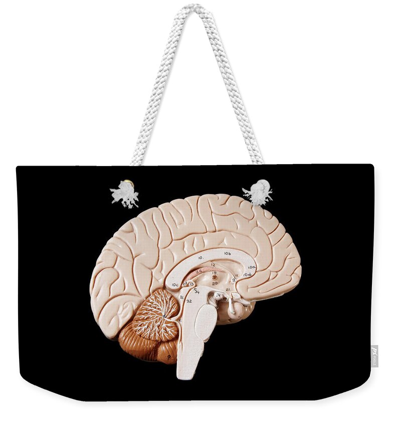 Black Background Weekender Tote Bag featuring the photograph Human Brain by Richard Newstead