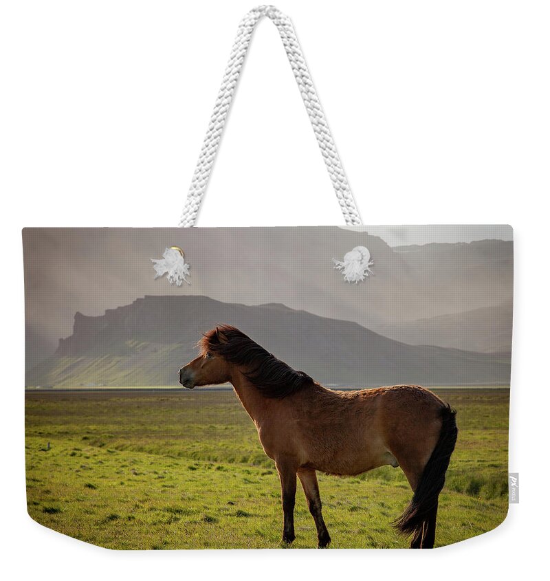 Iceland Weekender Tote Bag featuring the photograph Icelandic Horse #2 by Peter OReilly