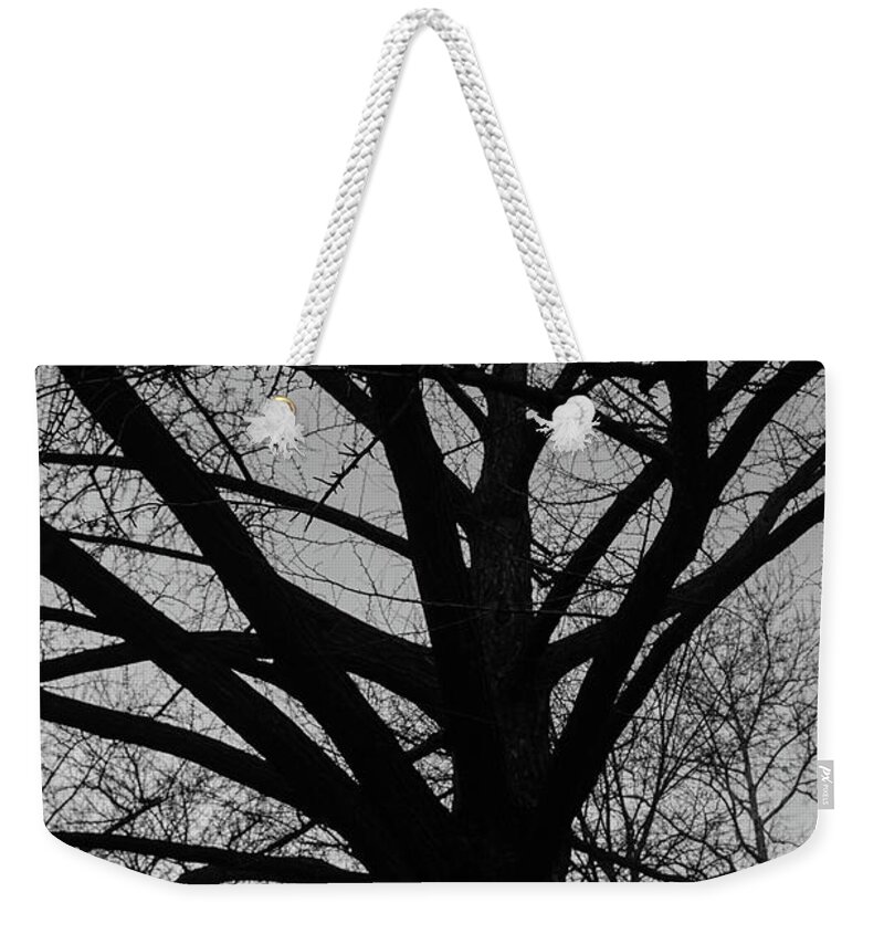 Ginkgo Weekender Tote Bag featuring the photograph Inwood Ginkgo #2 by Cole Thompson