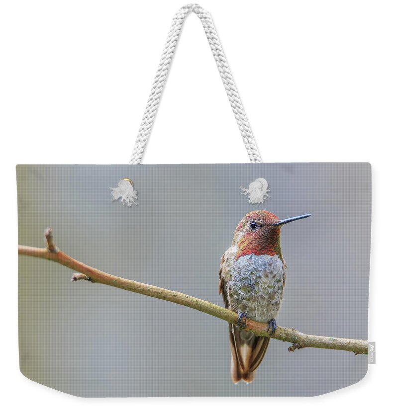 Animal Weekender Tote Bag featuring the photograph Male Anna's Hummingbird #2 by Briand Sanderson