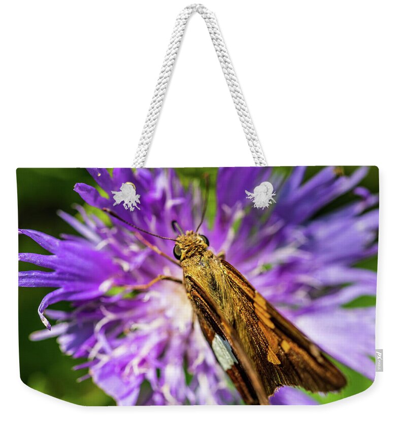 Animals Weekender Tote Bag featuring the photograph Macro Photography - Butterfly by Amelia Pearn