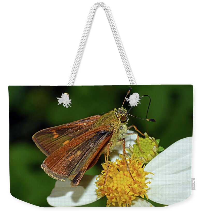 Photograph Weekender Tote Bag featuring the photograph Skipper Butterfly #2 by Larah McElroy