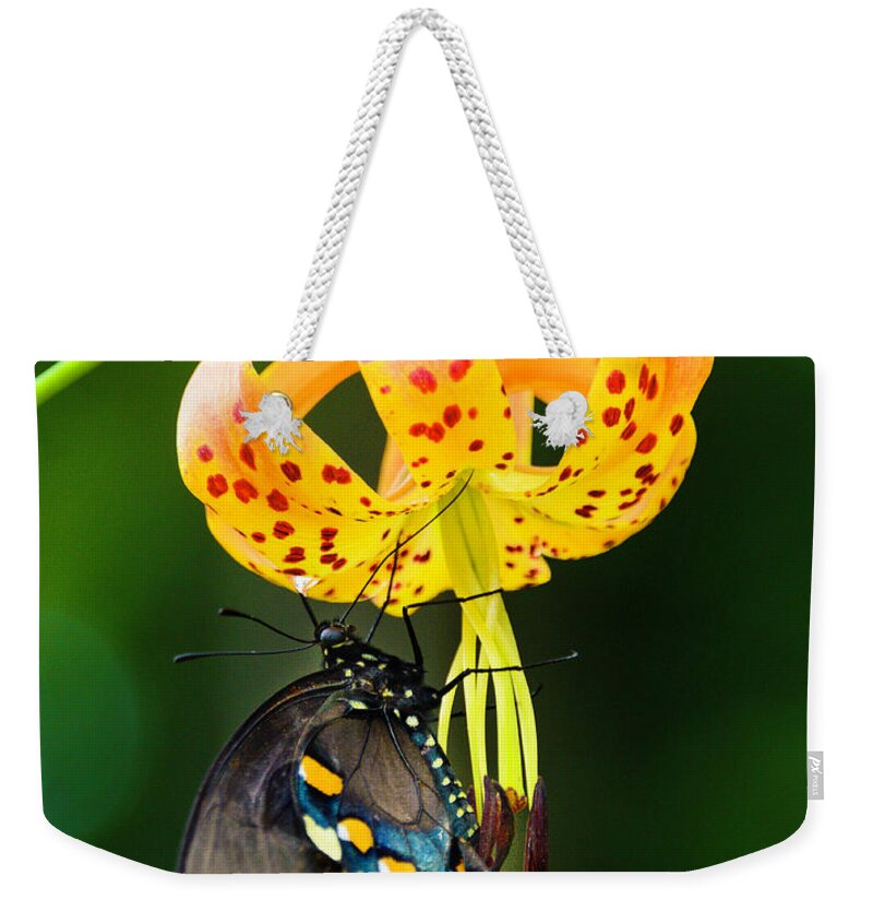 Africa Weekender Tote Bag featuring the photograph Swallowtail On Turks Cap #2 by Donald Brown