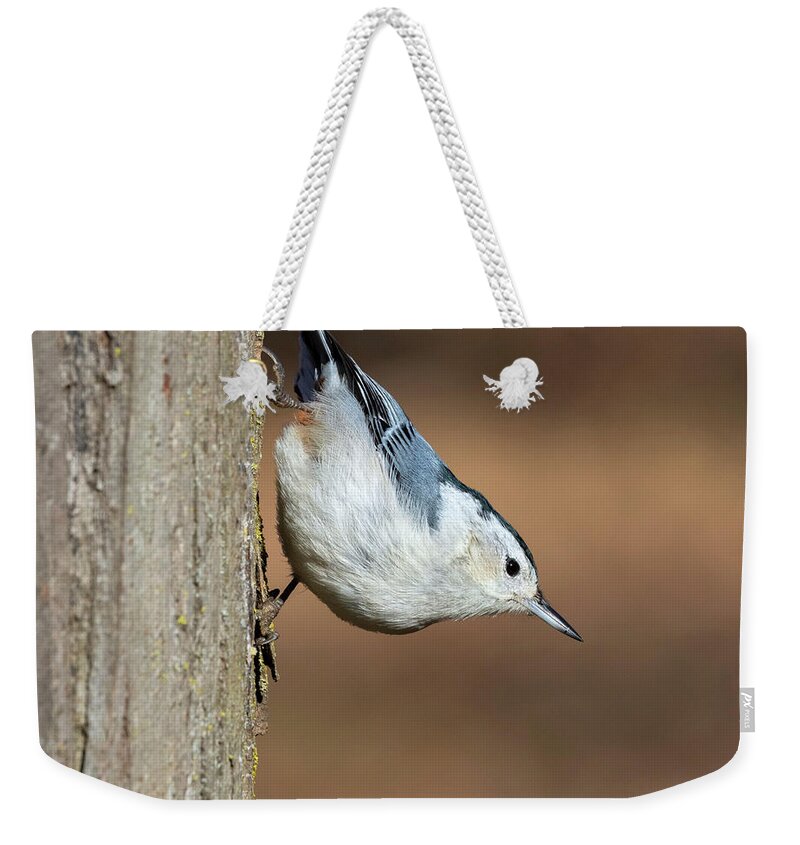 Animal Weekender Tote Bag featuring the photograph White-breasted Nuthatch #2 by Ivan Kuzmin