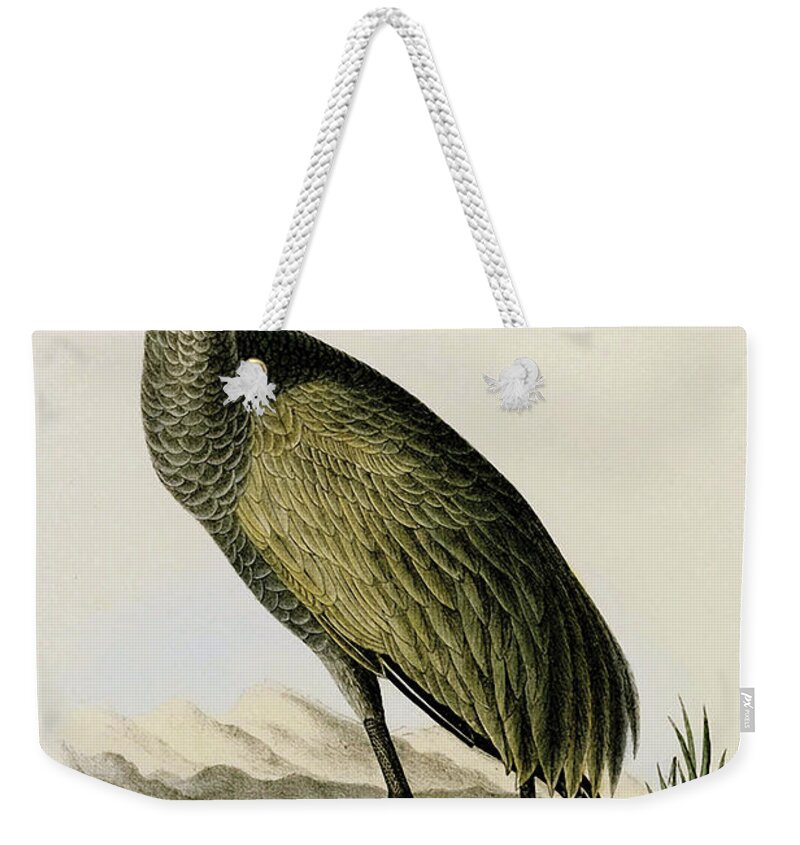 Birds Weekender Tote Bag featuring the painting Whooping Crane #2 by John James Audubon