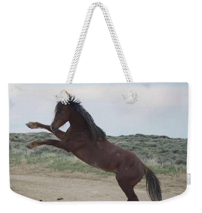 Wyoming Weekender Tote Bag featuring the photograph Wyoming Wild Horses #4 by Patrick Nowotny