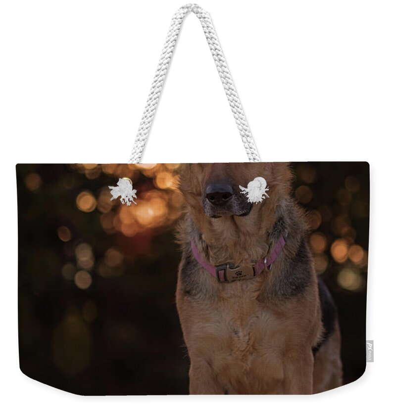 Animal Weekender Tote Bag featuring the photograph Liesl #20 by Brian Cross