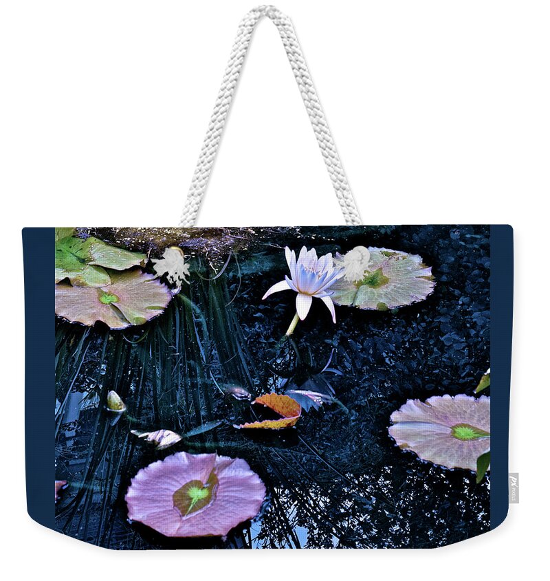 Waterlily Weekender Tote Bag featuring the photograph 2019 August at the Gardens White Waterlily by Janis Senungetuk