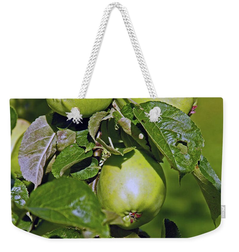 Lancashire Weekender Tote Bag featuring the photograph 21/07/14 CHORLEY. Astley Hall. by Lachlan Main