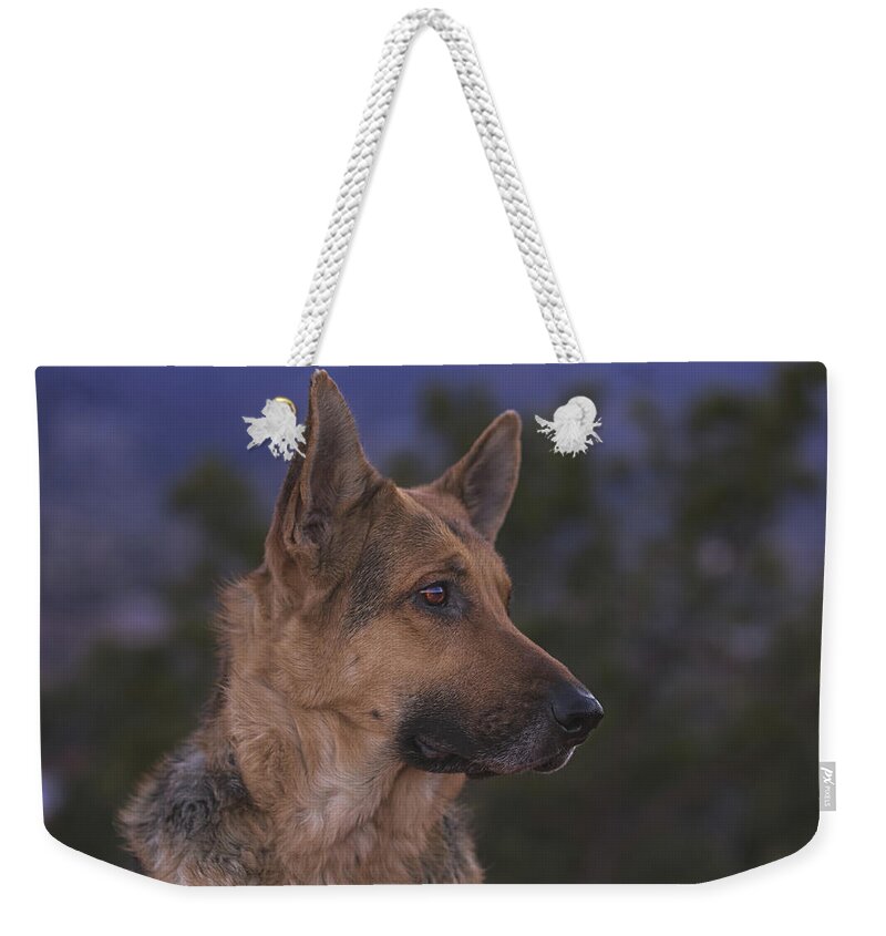 Animal Weekender Tote Bag featuring the photograph Liesl #23 by Brian Cross
