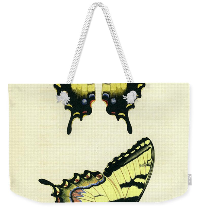 Entomology Weekender Tote Bag featuring the photograph Butterflies by Unknown