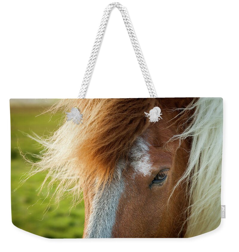 Iceland Weekender Tote Bag featuring the photograph Icelandic Horse #3 by Peter OReilly