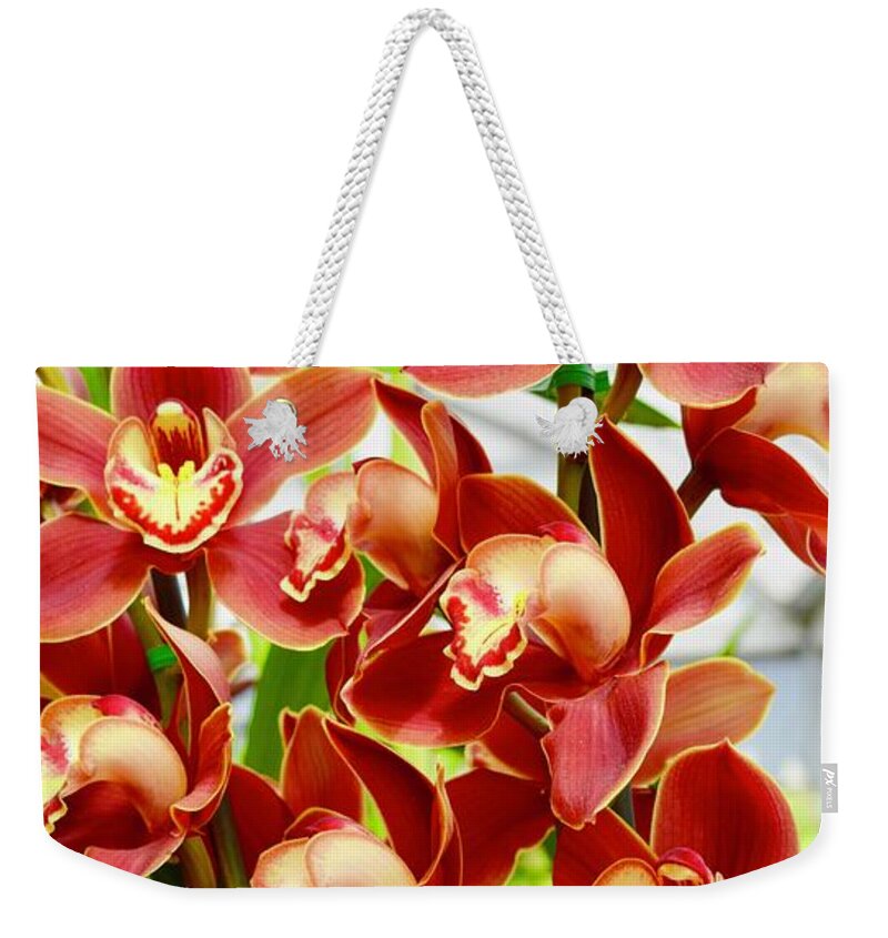 Flower Weekender Tote Bag featuring the photograph Red Cymbidium Orchids I by Bnte Creations