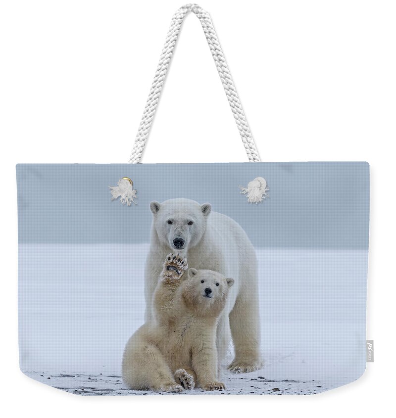 Bear Cub Weekender Tote Bag featuring the photograph Polar Bear #3 by Sylvain Cordier