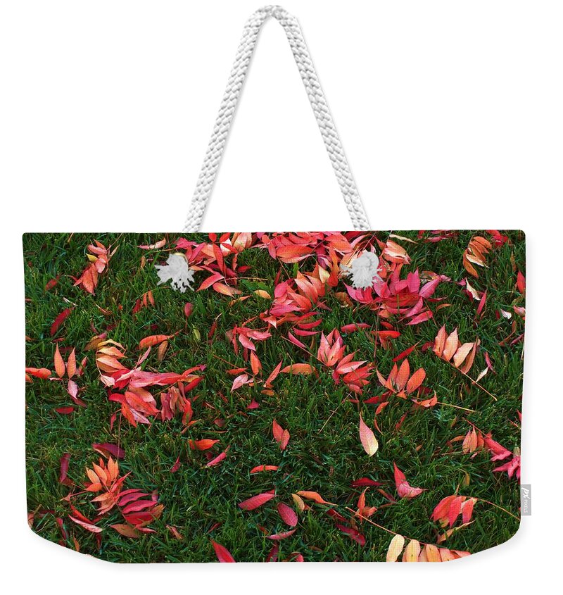 Leaves Weekender Tote Bag featuring the photograph Signs of Autumn #5 by Richard Thomas