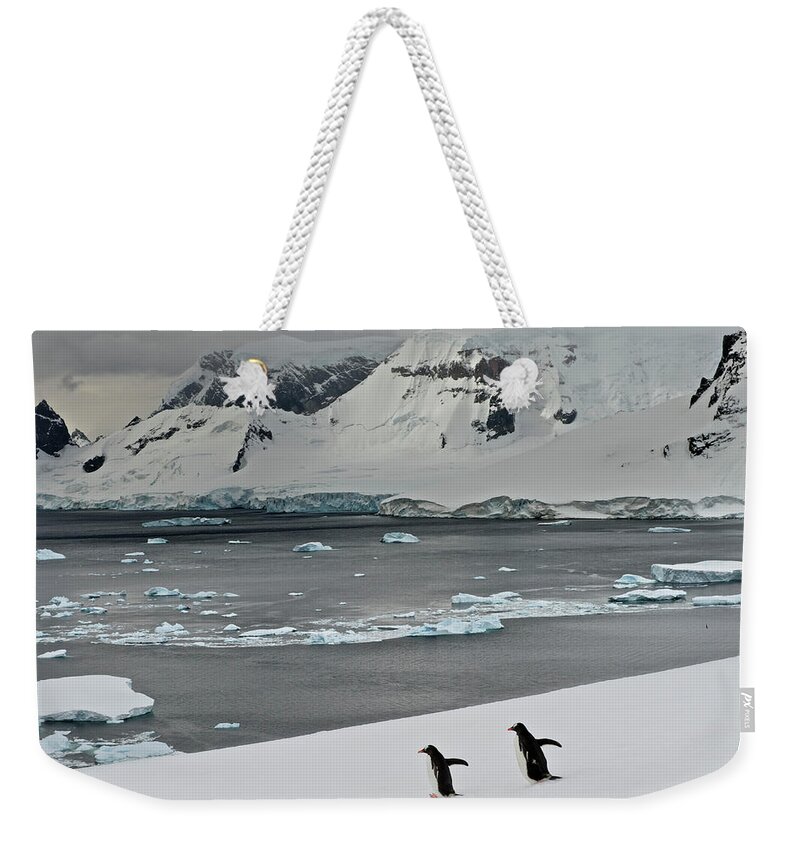 Tranquility Weekender Tote Bag featuring the photograph Antarctic Peninsula, Antarctica #4 by Enrique R. Aguirre Aves
