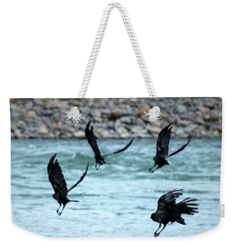 Animals Weekender Tote Bag featuring the photograph 4 Crows At The River by Mary Lee Dereske