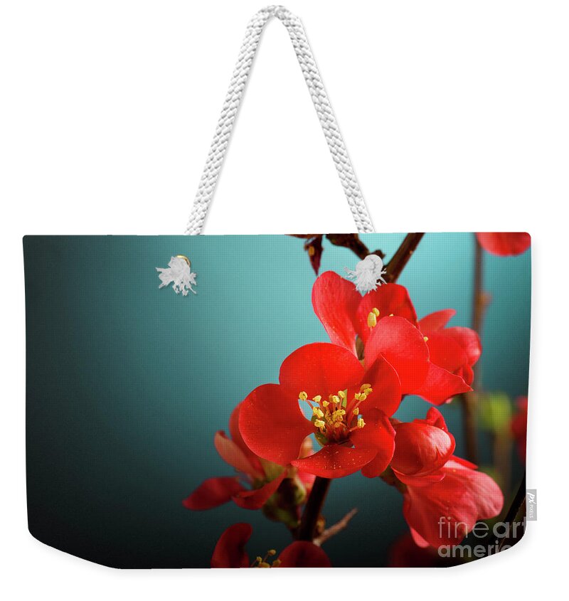 Flower Weekender Tote Bag featuring the photograph Pink Flower by Jelena Jovanovic